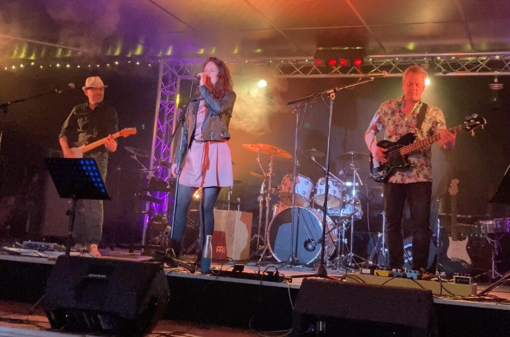 Grizzly-Kiss-groupe-musique-bordeaux-pop-rock-funk